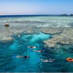 Day Trip to the White Island & Ras Mohammed