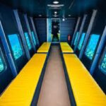 Adventour Magawish Island Cruise with Semi-Submarine – Luxury Boat Tour4
