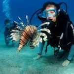 Excursion d’une journée de plongée en apnée et de plongée sur l’île de Tiran en bateau