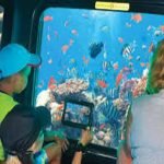Ausflug mit dem Semi-U-Boot & Glasbodenboot Tour ab Sharm El Sheikh