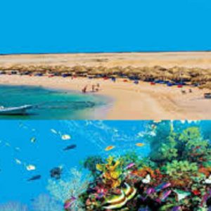 Sharm El Naga Schnorcheln