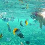 Marsa Mubarak Sea Snorkeling Boat Trip Marsa Alam2