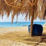Magawish Island Trip Hurghada Snorkeling & Scuba Diving5