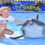 Spectacle de dauphins à Hurghada4
