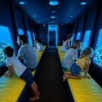 Adventour Magawish Island Cruise with Semi-Submarine – Luxury Boat Tour2