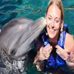 Nagez avec les dauphins à Charm el Cheikh