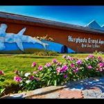 Excursie naar Grand Aquarium vanuit Hurghada6