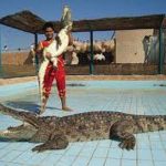 Crocodile and Snake Show Sharm El Sheikh1