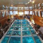 Glass bottom boat excursion in Sharm El Sheikh