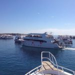 Snorkelen op het eiland Tiran per boot