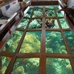 Glass bottom boat excursion in Sharm El Sheikh1