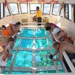 Glass bottom boat excursion in Sharm El Sheikh3