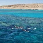 El Gouna sea trip from Hurghada4