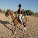 Катание на лошадях в пустыне Шарм эль Шейха1