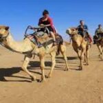 Discovery Safari-excursie vanuit Hurghada in de ochtend