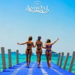 Amwaj Island from Hurghada – Snorkeling & Island Trip4