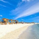 Excursion d’une journée à la plage d’Abu Dabbab depuis Hurghada