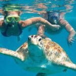 Excursion d’une journée à la plage d’Abu Dabbab depuis Hurghada3