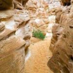 Lost land & Pharaoh’s Island Cruise, Red and white Canyons, safari trip1