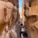 Затерянная земля & круиз к острову Фараонов & Красный и Белый каньоны, сафари-тур4