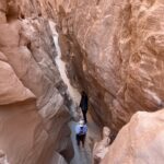 Затерянная земля & круиз к острову Фараонов & Красный и Белый каньоны, сафари-тур7