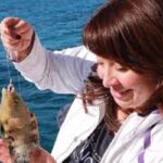 Dolphin House All-in-One – Snorkeling, Diving, Fishing & Massage2