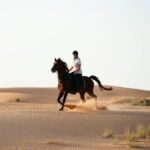Balade à Cheval dans le Désert de Sharm El Sheikh
