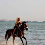 Balade à Cheval sur la Plage à Sharm El Sheik