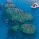Bianca Island Snorkeling & Beach Tour from Hurghada8