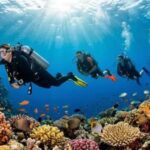 Daily Scuba Diving Boat Trip in Hurghada for Certified Divers1