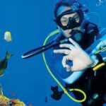 Daily Scuba Diving Boat Trip in Sharm El Sheikh for Certified Divers