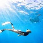 Delfinų namai „Viskas viename“ – snorkelingas, nardymas ir masažas