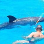 Dolphin House – Sve u Jednom