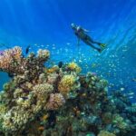 Eden Island Tour from Hurghada .. Snorkeling & White Sandy Beach