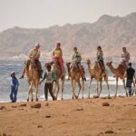 Golden Dahab 8-in-1 Adventure from Sharm El Sheikh1