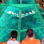 Golden Dahab 8-in-1 Adventure from Sharm El Sheikh4