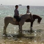 Horse Riding on the Beach in Sharm El Sheikh1