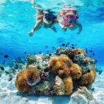 Orange Bay arba Hula Hula – paviršinis nardymas ir nardymas