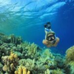Orange Bay Hurghada met Duiken