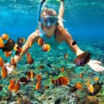 Orange Bay sau Hula Hula Island din Hurghada – Snorkeling și Scufundări