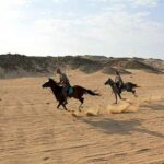 Paardrijden in de Woestijn – Sharm El Sheikh