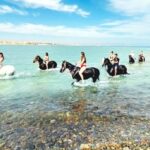Reiten am Strand in Sharm El Sheikh