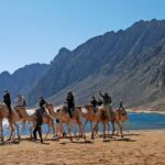 Золотой Дахаб 8-в-1 из Шарм-эль-Шейха