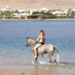 Катание на лошадях по пляжу в Шарм-эль-Шейхе1
