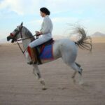 Конна езда в пустинята в Шарм ел-Шейх3