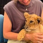 Baby Lion Photo Experience in Hurghada – Meet a Lion Cub