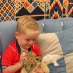 Baby Lion Photo Experience in Hurghada – Meet a Lion Cub3